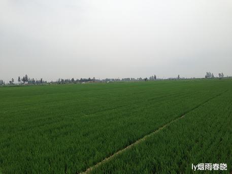 莫道田园无胜景 世外桃源乡村美作文