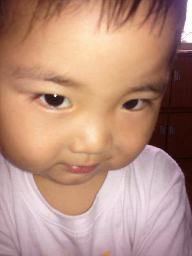 不以物喜,不以己悲——《我不想生气》读后感作文