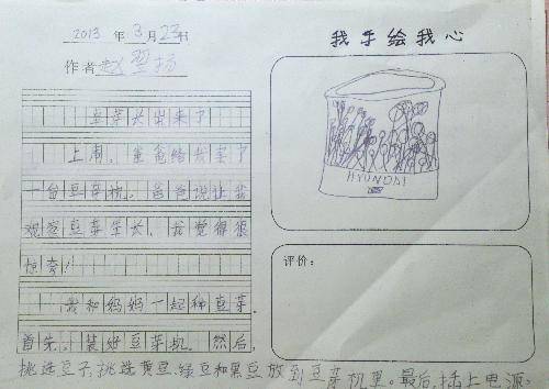 豆芽长出来了作文