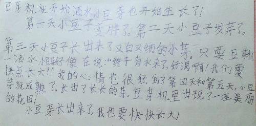 豆芽长出来了作文