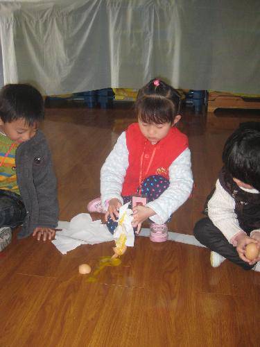 照顾蛋宝宝(一)作文