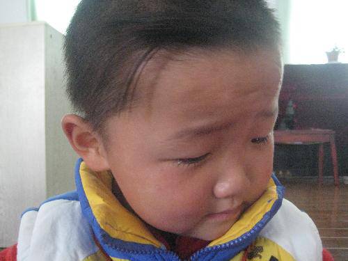 照顾蛋宝宝(一)作文