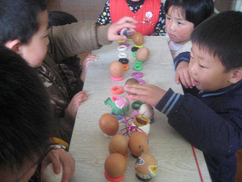 照顾蛋宝宝(一)作文