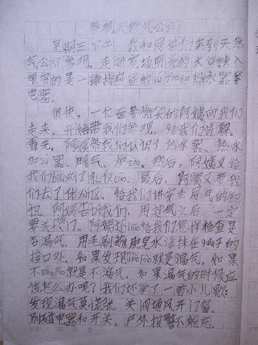 参观天然气公司作文