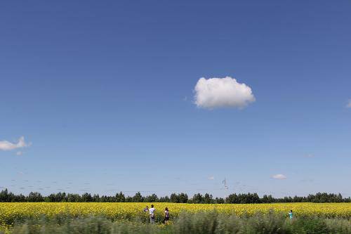 格格东游记(八)——呼伦贝尔大草原作文