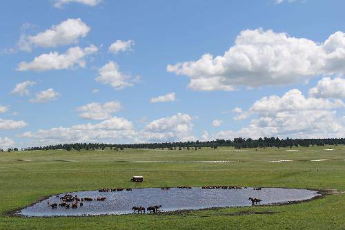 格格东游记(八)——呼伦贝尔大草原作文