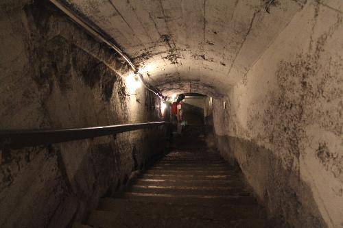 格格东游记(八)——呼伦贝尔大草原作文