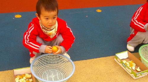 大手牵小手,健康来成长——阳光体育节活动剪影 作文