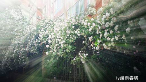 关注美好 远离路怒症作文