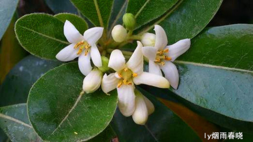 关注美好 远离路怒症作文