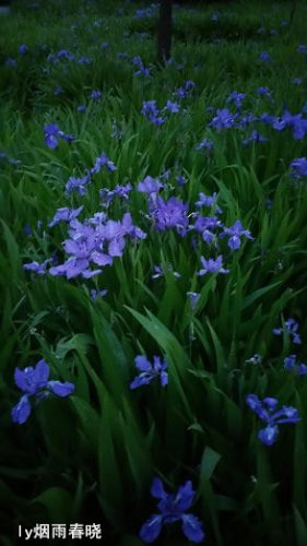 关注美好 远离路怒症作文