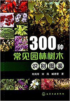 300ֳ԰ľʶͼ