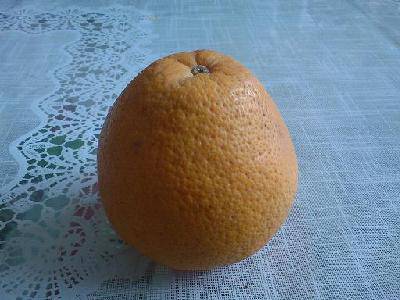 我的“爱心娃娃”橘灯(附图)作文