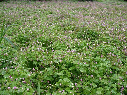 今天我当了小博士作文