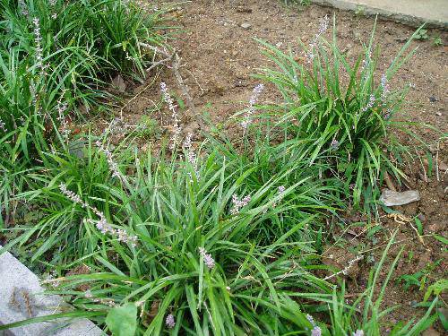 今天我当了小博士作文