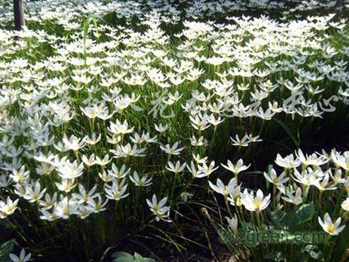 今天我当了小博士作文