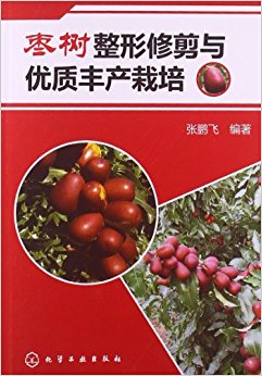 ޼ʷ