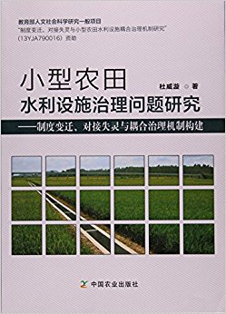 小型农田水利设施治理问题研究--制度变迁对接失灵与耦合治理机制构建