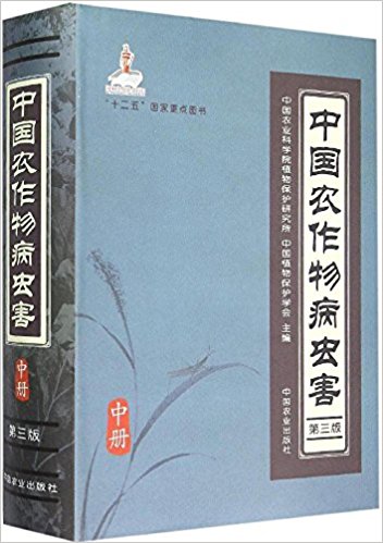 йũﲡ溦 3 в