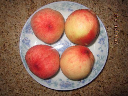 舌尖上的夏天(三)——自制黄桃罐头作文