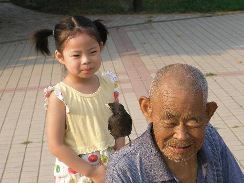 “八哥”记作文