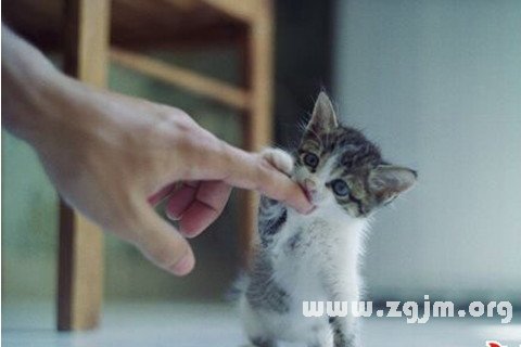 μèҧʲô˼