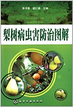 溦ͼ