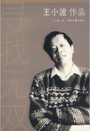 寻找无双 (王小波作品)