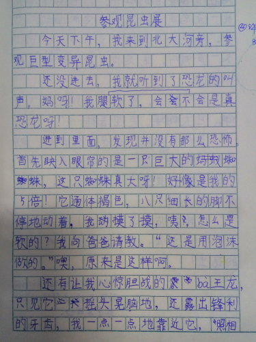 参观昆虫展作文