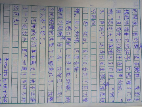 参观昆虫展作文