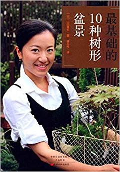 10辰