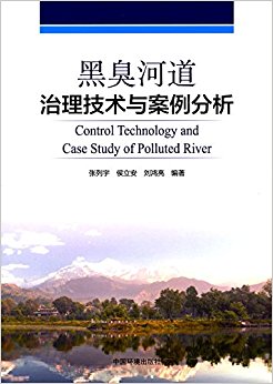 黑臭河道治理技术与案例分析