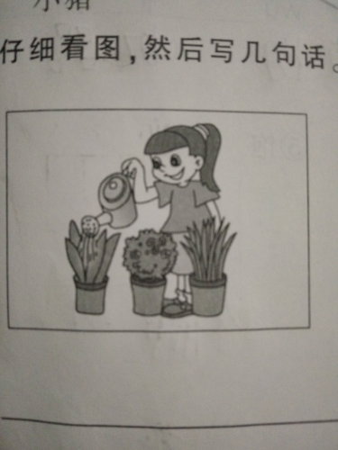 ͼд