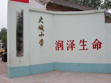 圪垱店毛虫,以团队的名义成长作文