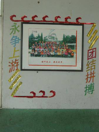 圪垱店毛虫,以团队的名义成长作文