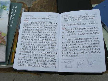 圪垱店毛虫,以团队的名义成长作文