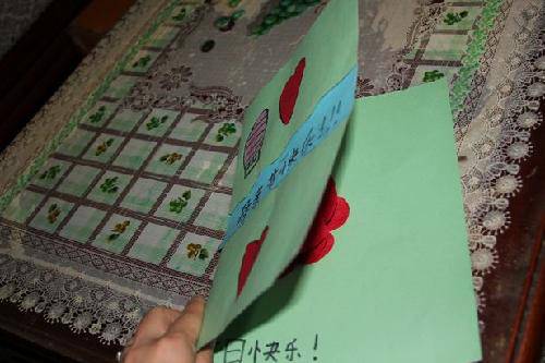 绽放的康乃馨作文