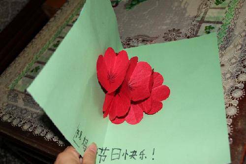 绽放的康乃馨作文