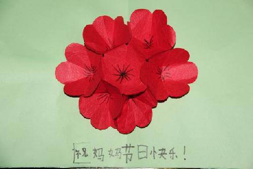 绽放的康乃馨作文