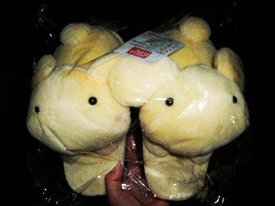 快乐的书香之旅作文