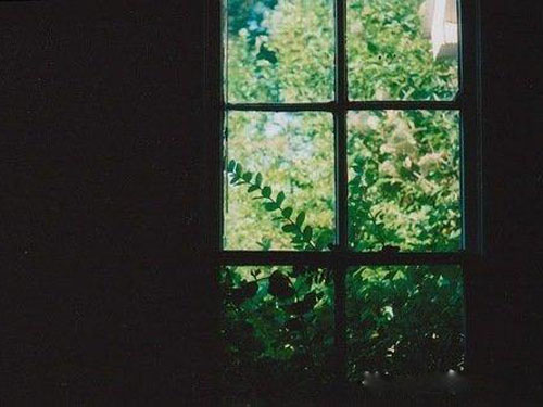ټ֪ʶȫ֮