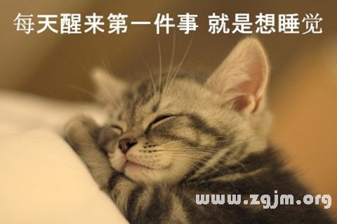 μʲô˼