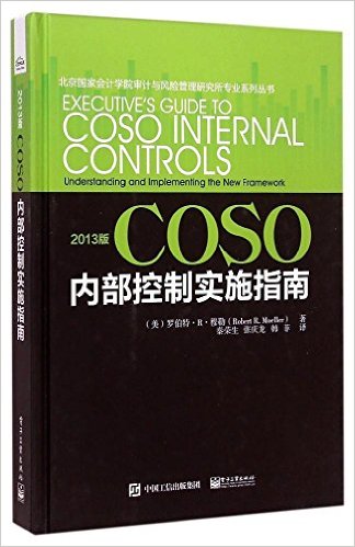 2013COSOڲʵʩָ