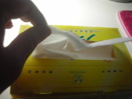 “紫心牌”抽纸(小制作)作文