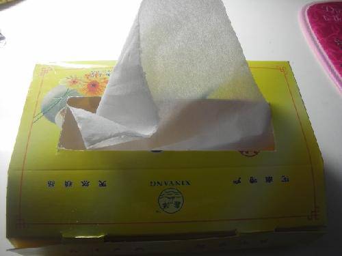 “紫心牌”抽纸(小制作)作文