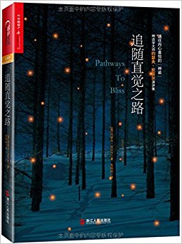追随直觉之路