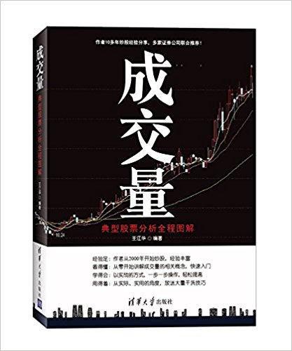成交量:典型股票分析全程图解