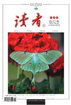  ¿ 2013궬϶2013.19-24ڣ