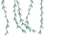 游戏帮我记单词作文