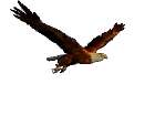 Ҹ·ϡҵѧܽ